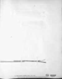 Epidochium affine image
